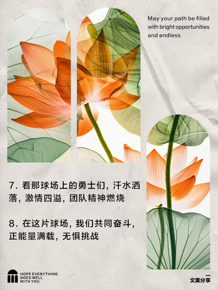 团队配合默契无间，夺冠路上坚定向前 